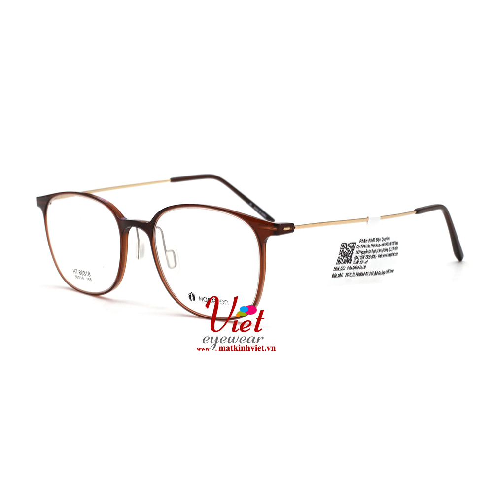 Gọng kính HANGTEN HT80318 C2